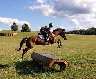 120541113_3895143597169137_4283288128499