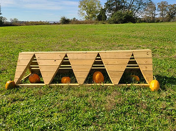 123138035_3989876041029225_4145718074944